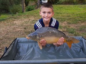 Mirror Carp