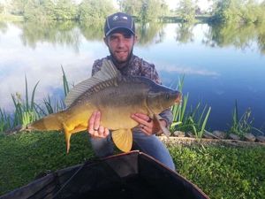 Mirror Carp