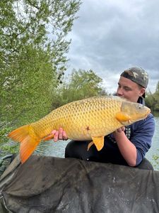 Koï Fish