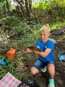 Tench