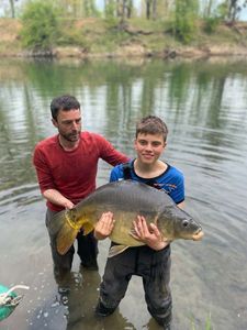 Mirror Carp