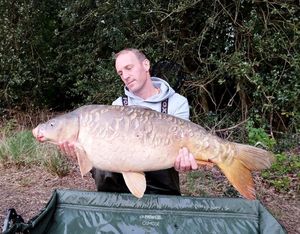 Mirror Carp