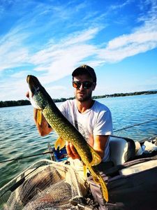 Northern Pike