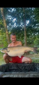 Grass Carp