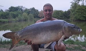 Mirror Carp
