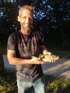 Largemouth Bass