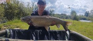 Grass Carp