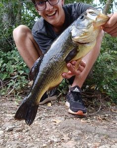 Largemouth Bass