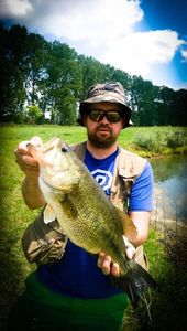 Largemouth Bass