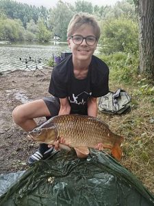 Common Carp