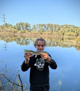 Northern Pike