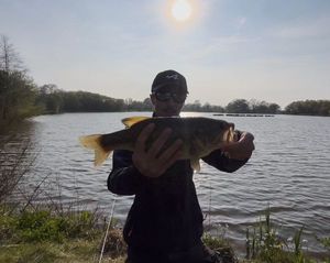 Largemouth Bass