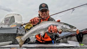 Lake Trout