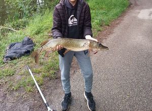 Northern Pike