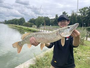 Northern Pike