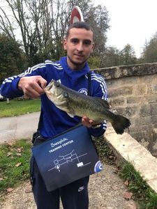 Largemouth Bass