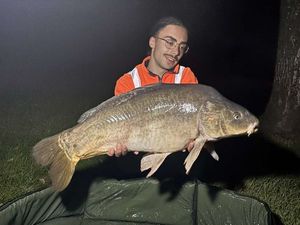 Mirror Carp