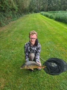 Mirror Carp