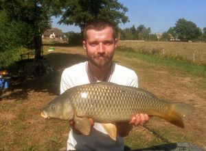 Common Carp