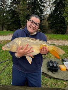 Mirror Carp