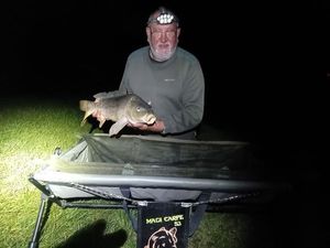 Common Carp