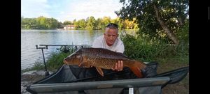 Common Carp