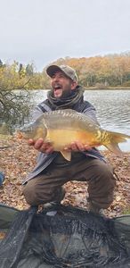 Mirror Carp