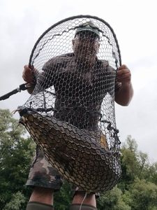 Barbel