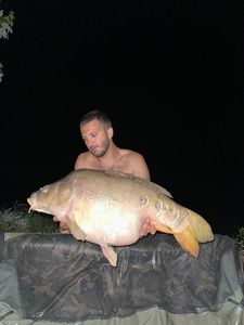 Leather Carp