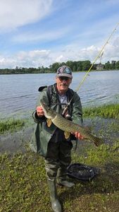 Northern Pike
