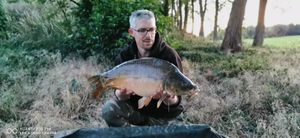 Mirror Carp