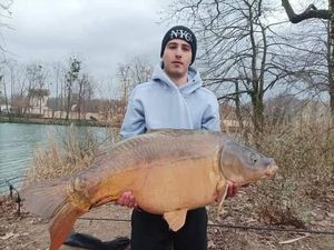 Mirror Carp