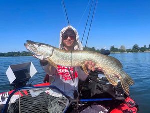 Northern Pike