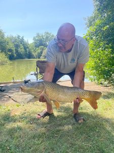 Common Carp