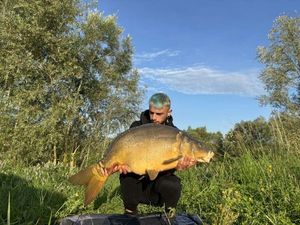 Mirror Carp