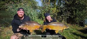 Mirror Carp