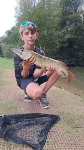 Northern Pike
