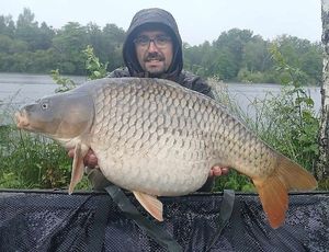 Common Carp
