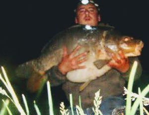 Mirror Carp