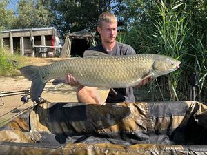 Grass Carp