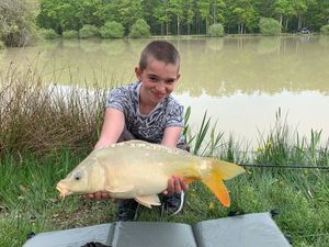 Common Carp
