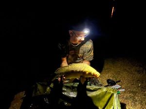 Mirror Carp