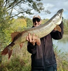 Northern Pike