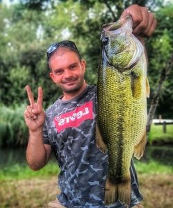 Largemouth Bass