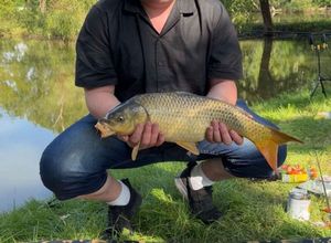 Common Carp