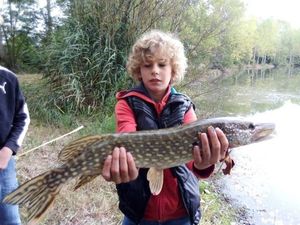 Northern Pike