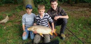 Common Carp
