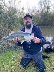 Largemouth Bass