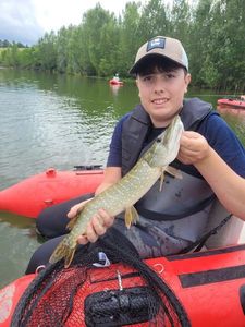 Northern Pike