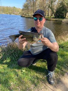 Smallmouth Bass
